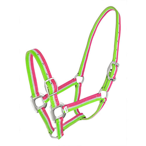 Abstract Headstall Pink/Lime
