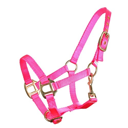 Premium Mini Halter [Colour: Fluro Pink] [Size: Large Mini]