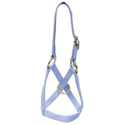 Alpaca and Goat Halter and lead set [Size: Medium]