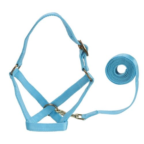 Alpaca/Goat Halter and lead set