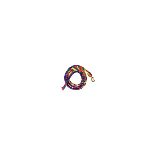 Rainbow Plaited Lead 