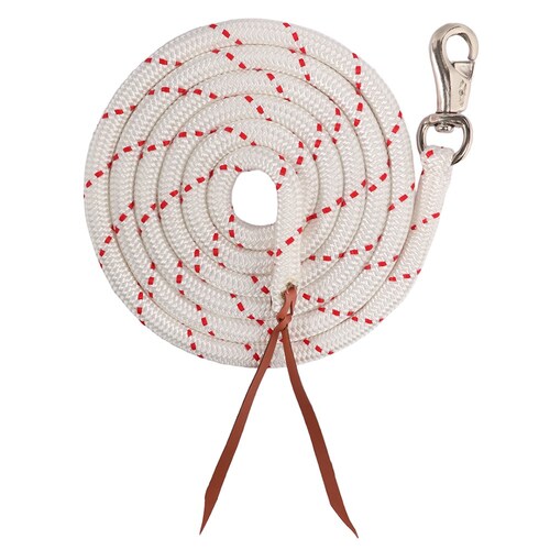 Training Lead rope with bull snap