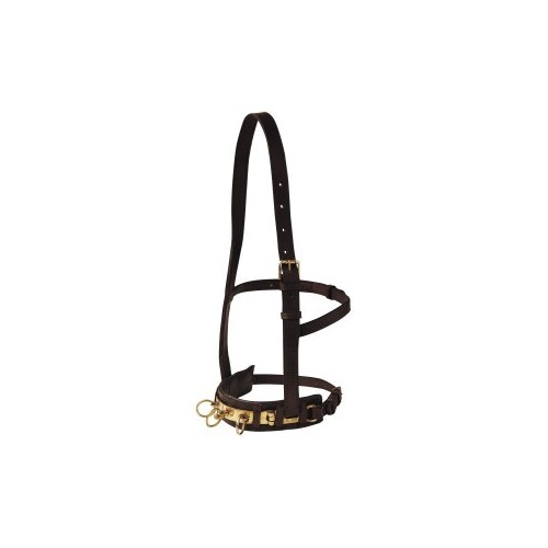 Leather Lunge Cavesson