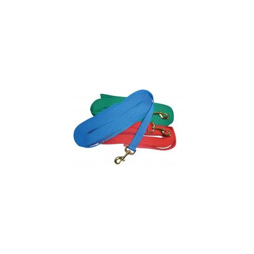 Lunge Lead Nylon