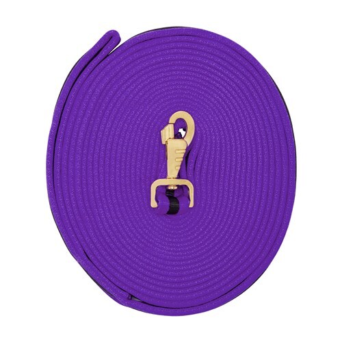 Lunge Lead Soft Tubular Web 8m [Colour: BabyBlue/Beige]