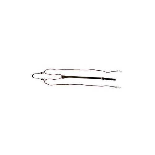 Chambon Martingale
