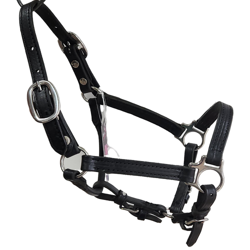 Western Mini Halter