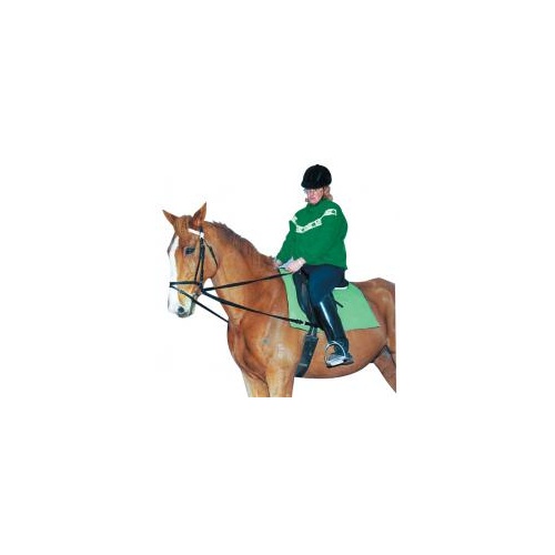 Draw Reins