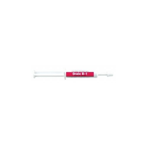 Oralx B1 Paste