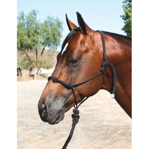 Pro Choice Clinician Halter and lead Set