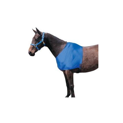 LYCRA SHOULDER GUARD [Size: Small]