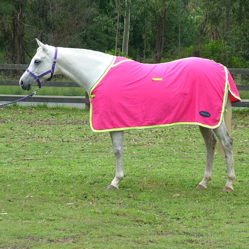 MiniCraft Cotton Rug - Hot Pink/Lime/ Purple [SIZE: 5'0]