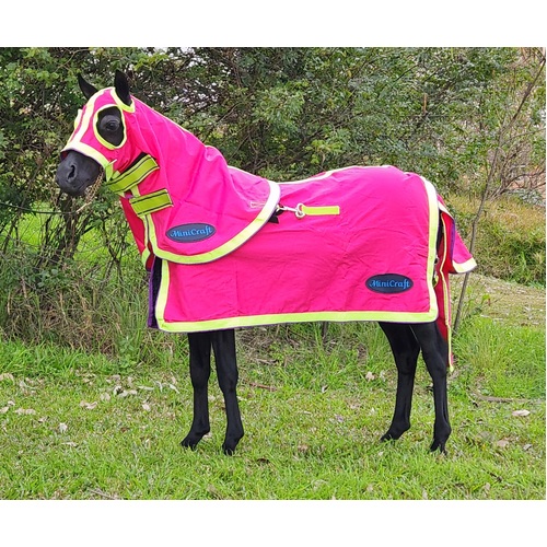 MiniCraft Mini Show Set - Hot Pink/Lime/Purple  [Rug Size: 2'3]