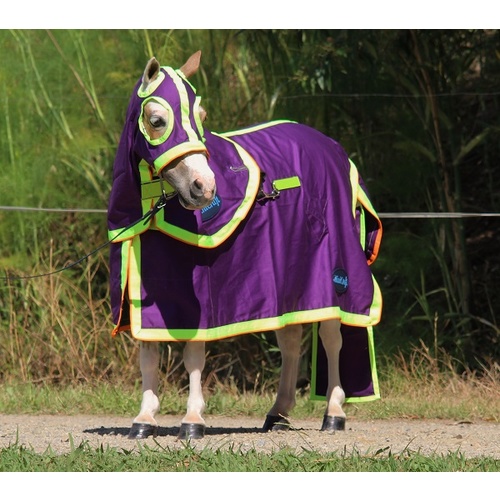 MiniCraft Show Set - Purple/Lime/Orange [Rug Size: 2'6] [HOOD SIZE: XS Mini] [TAIL BAG SIZE: Small Mini]