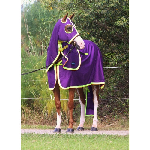 MiniCraft Show Set - Purple/Lime/Orange [Rug Size: 5'0] [HOOD SIZE: Small Pony] [TAIL BAG SIZE: Small Pony]