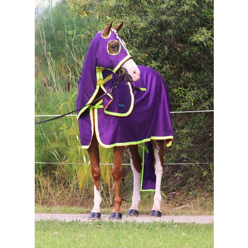MiniCraft Show Set - Purple/Lime/Orange [Rug Size: 4'6] [HOOD SIZE: Small Pony] [TAIL BAG SIZE: Horse]