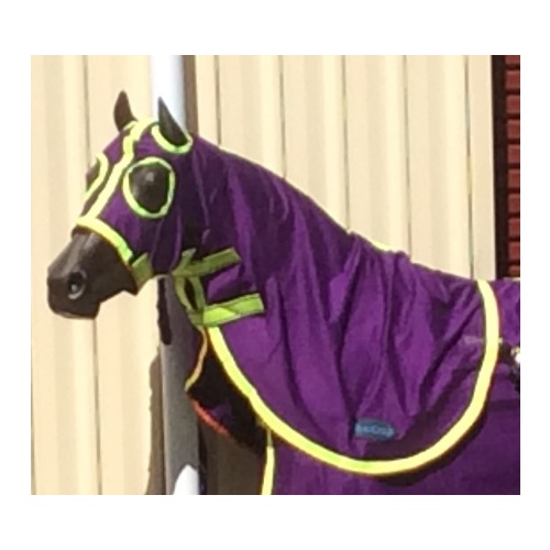 MiniCraft Mini Cotton Hood Purple/Lime/Orange [Hood Size: Xsmall Mini]