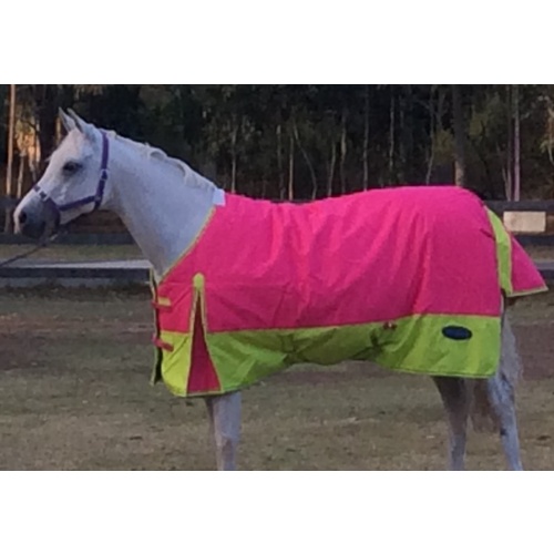 MiniCraft Sunbreaker Rug HPL [Rug Size: 4'6]