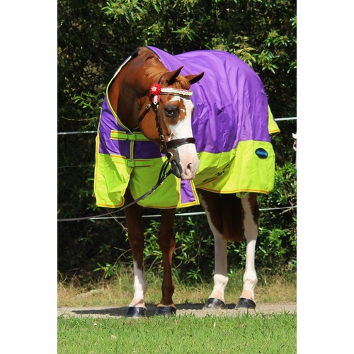 MiniCraft Sunbreaker Rug PLO [Rug Size: 7'0]