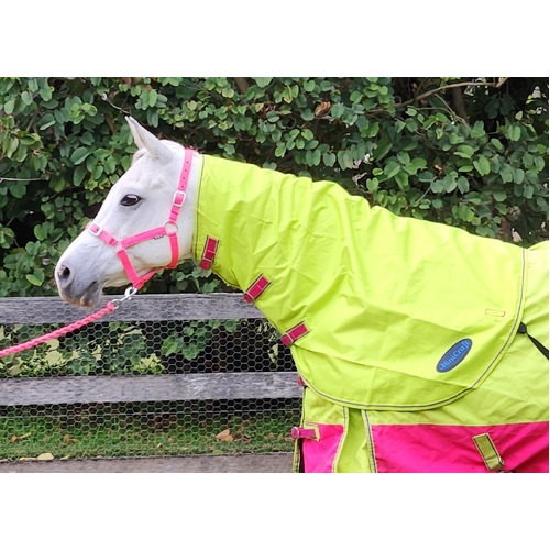 MiniCraft Sunbreaker Neck Rug LHP [Neck Rug Size: Small Pony]