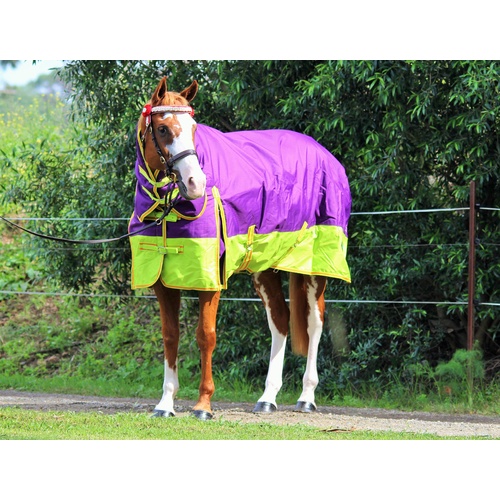 MiniCraft Frostbreaker 300 Combo PLO [RUG SIZE: 4'6]