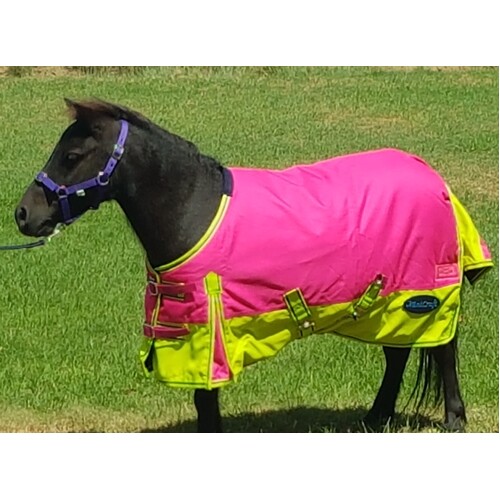 MiniCraft Frostbreaker 150 Mini Rug - Hot Pink/Lime/Purple [Rug Size: 3'6 - Large Shoulder]