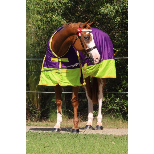 MiniCraft Frostbreaker 150 Rug PLO [RUG SIZE: 4'9]