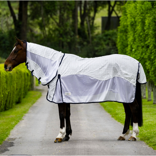 Air Flow Combo by Eureka [rug size: 4'3]