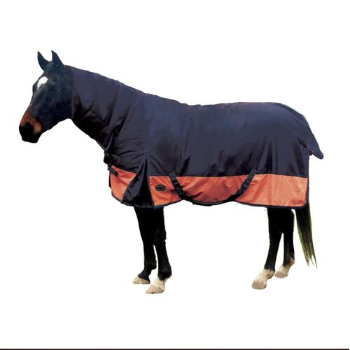 Eureka Winter Synthetic Combo [Rug Size: 4'3]