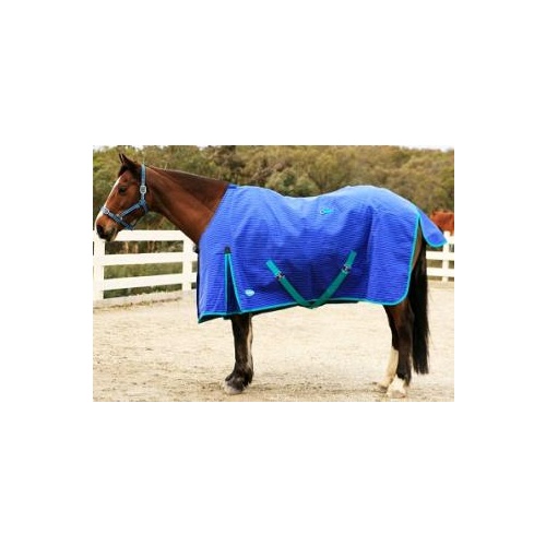 Showcraft Winter Ripstop Rug [Rug Size: 4'6]