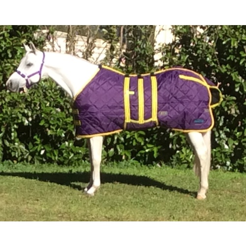 MiniCraft Dooner Rug PLO [Colour: Purple/Lime/Orange] [Rug Size: 4'6]