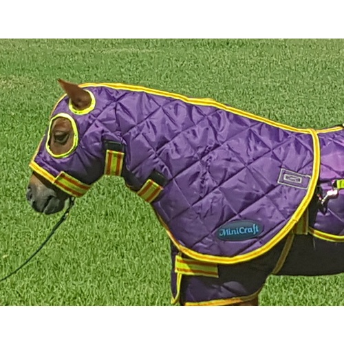 Mini Dooner Hood PLO [Rug Size: Medium Mini] [Colour: Purple/Lime/Orange]
