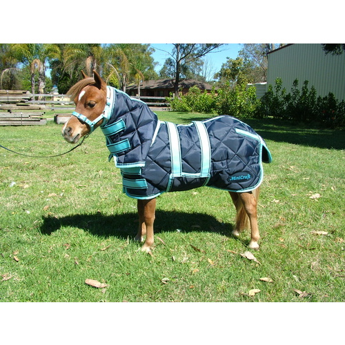 MiniCraft Dooner Combo- Navy/Light Blue [SIZE: 2'6]