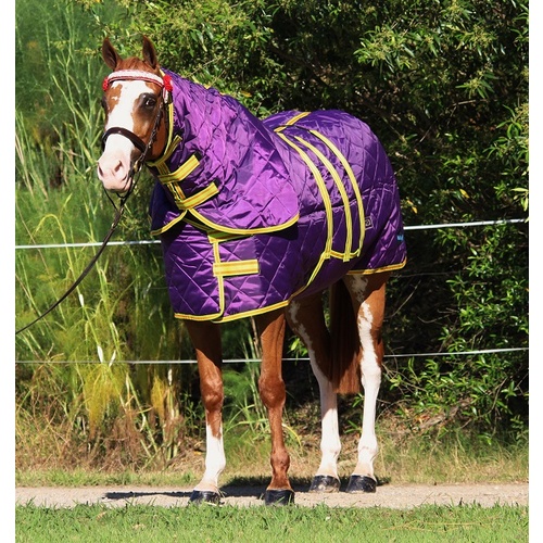 MiniCraft Dooner Combo PLO [Rug Size: 4'6]