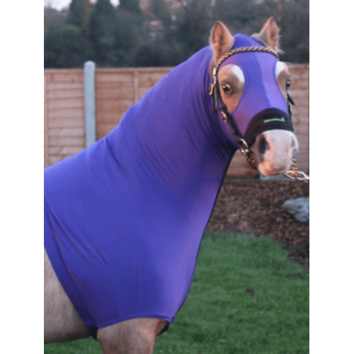 Lycra Hood by HorzeHood [Hood Size: XXS] [Colour: Purple]