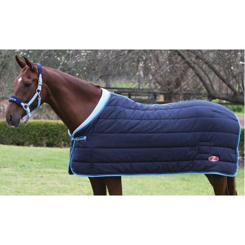 Defender Dooner Rug [Rug Size: 6'0]