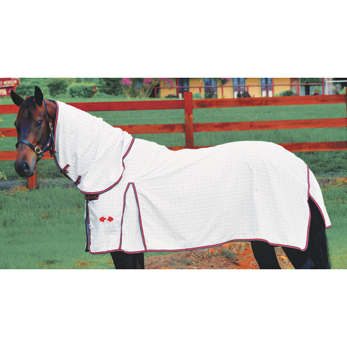 Econostop Combo [Rug Size: 4'0]