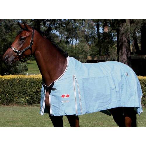 Hamilton Unlined Canvas Rug