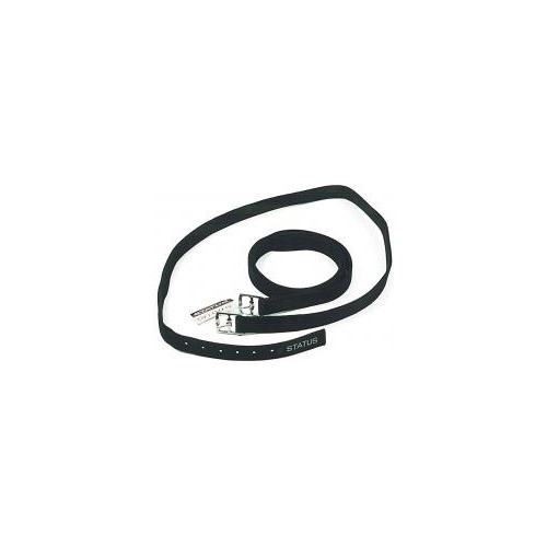 Status Stirrup Leathers