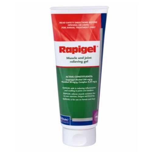 Rapigel Muscle and Joint Gel [Size: 200g]