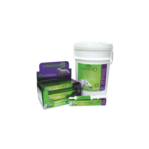 Strategy T Horse Wormer Tube