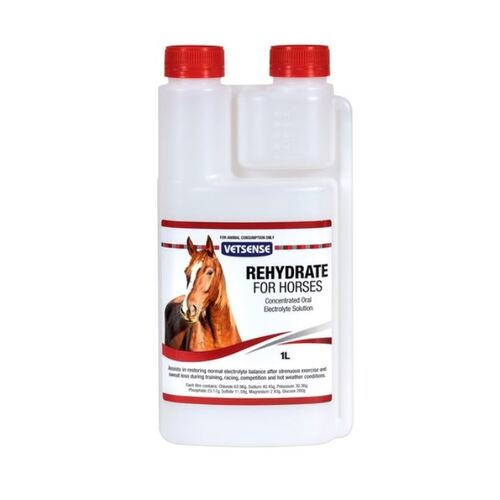 Rehydrate Horse