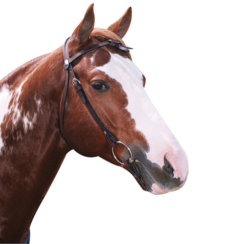 WESTERN KNOTTED BROW BRIDLE [Size: Cob]