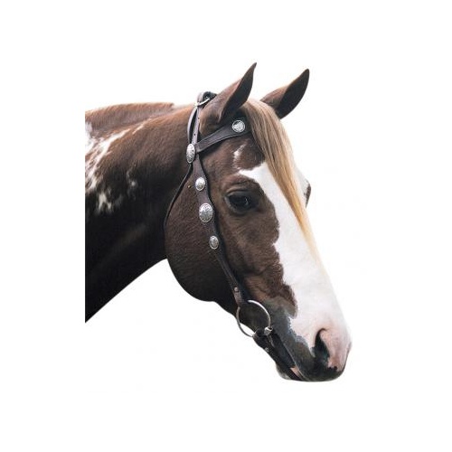 SCALLOPED SILVER BRIDLE [SIZE: COB]