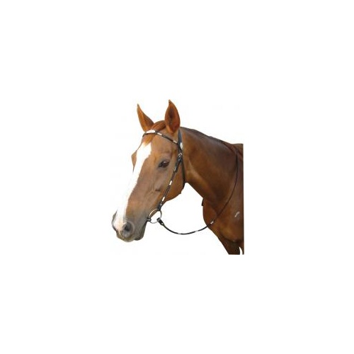 Poco Silver Western Bridle [SIZE: COB]