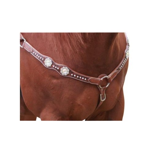Cluster of Jewells Western Breastplate [Size: Full]