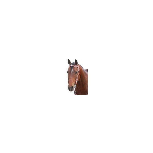 Swarovski Crystal and Studs  Bridle [SIZE: FULL]