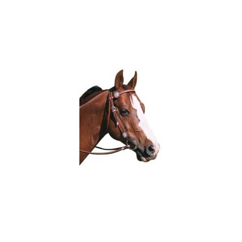 SILVER STUD BRIDLE [SIZE: COB]