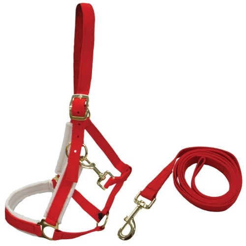 Christmas Halter [Size: Cob]